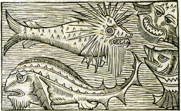   Imaginäre Monster. Olaus Magnus: Historia de Gentibus Septentrionalibus. Rom 1555.