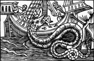  Seeschlange. Olaus Magnus: Historia de Gentibus Septentrionalibus. Rom 1555.