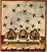 Bienenkörbe, Tacuinum Sanitatis, 15. Jahrhundert aus Wikipedia